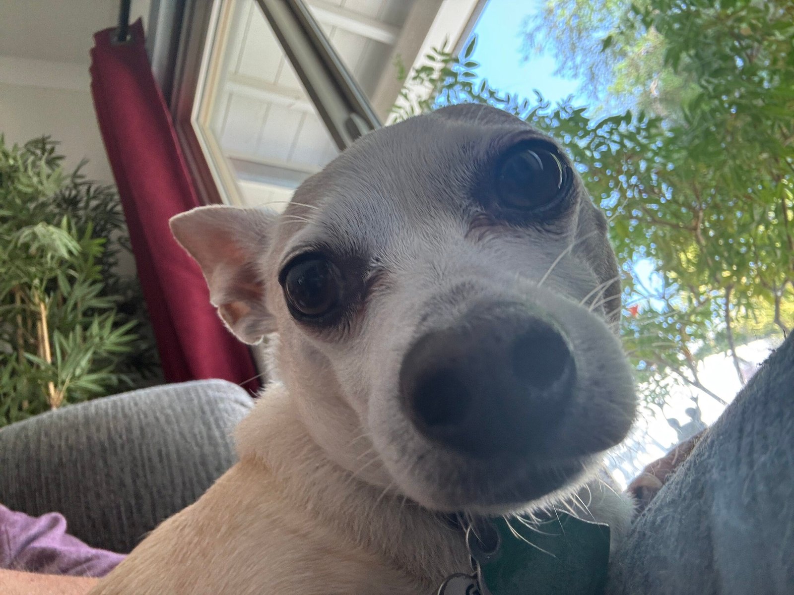 Happy Birthday Gordon!