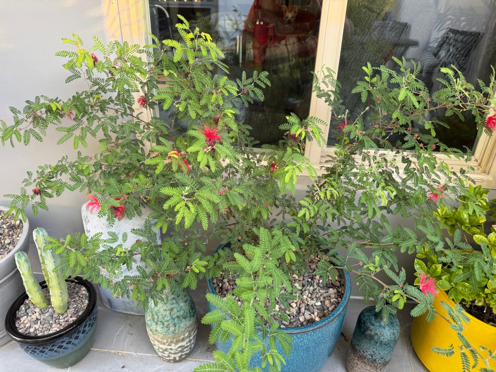 Learning something new every day