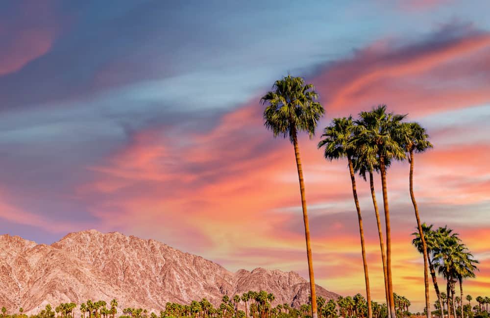 The ultimate insider’s guide to Palm Springs