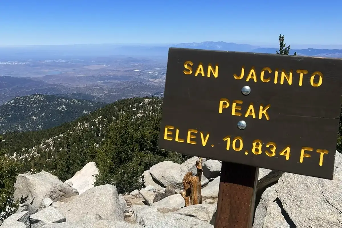 Mountains, Richard Nixon, and Cats