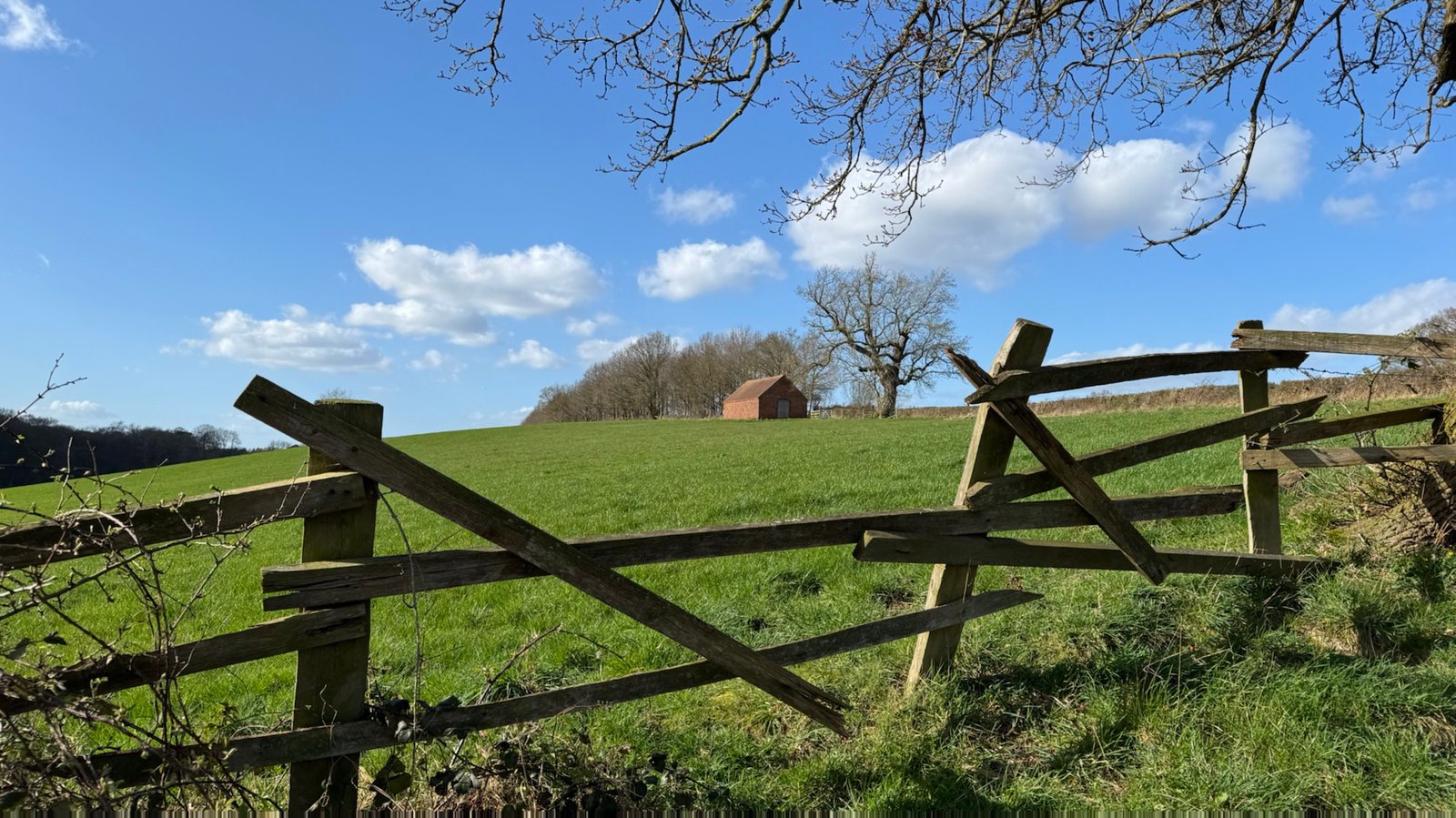 Chesterton’s Fence