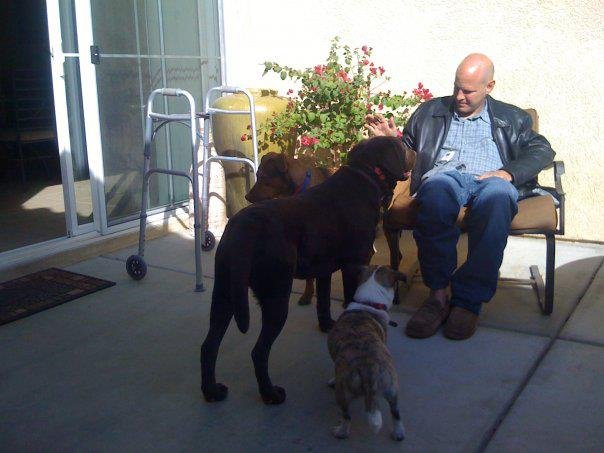 Clear the Shelters